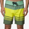 Casey Stripe Boardshort 17"