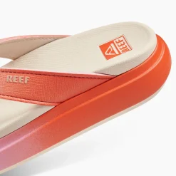Cushion Bondi