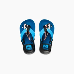 Little Ahi