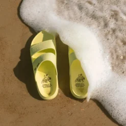 Reef Oasis X Duvin