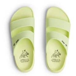 Reef Oasis X Duvin
