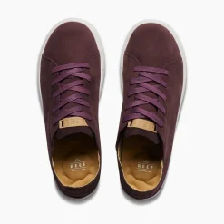 Swellsole Terramar