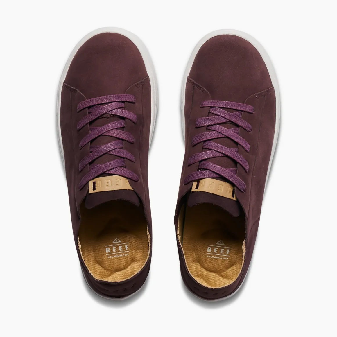 Swellsole Terramar