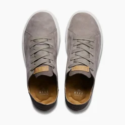 Swellsole Terramar