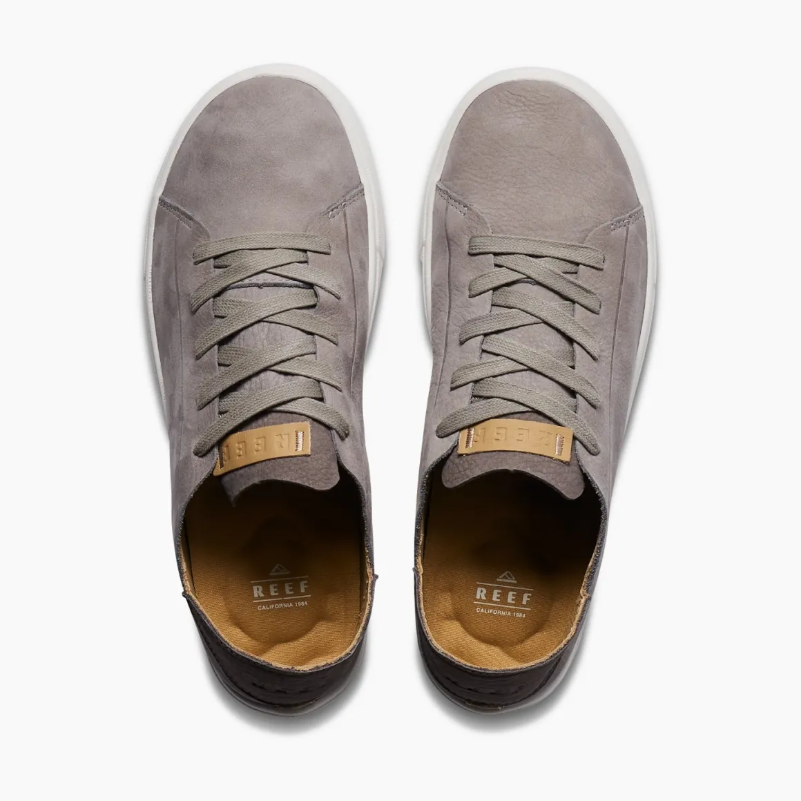 Swellsole Terramar