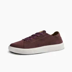 Swellsole Terramar