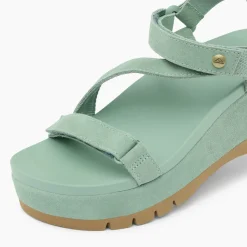 Vista Higher Luna